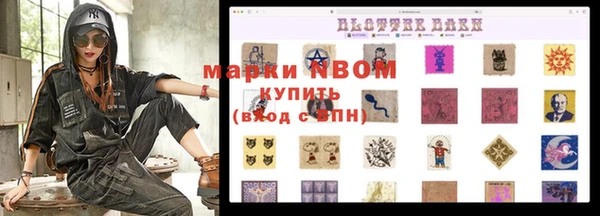 сатива Осташков