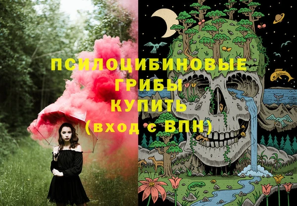 ПСИЛОЦИБИНОВЫЕ ГРИБЫ Белоозёрский