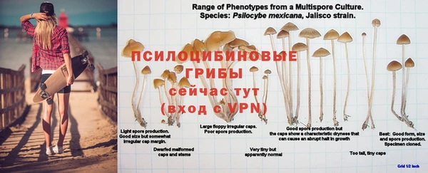 прущие грибы Остров
