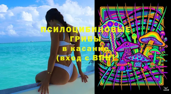 сатива Осташков