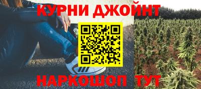 твердый Гай