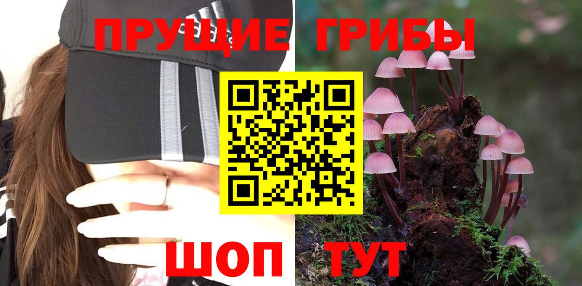Псилоцибиновые грибы MAGIC MUSHROOMS Удомля